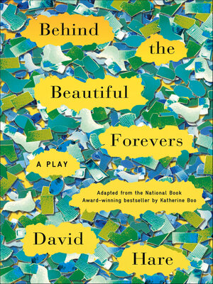 cover image of Behind the Beautiful Forevers